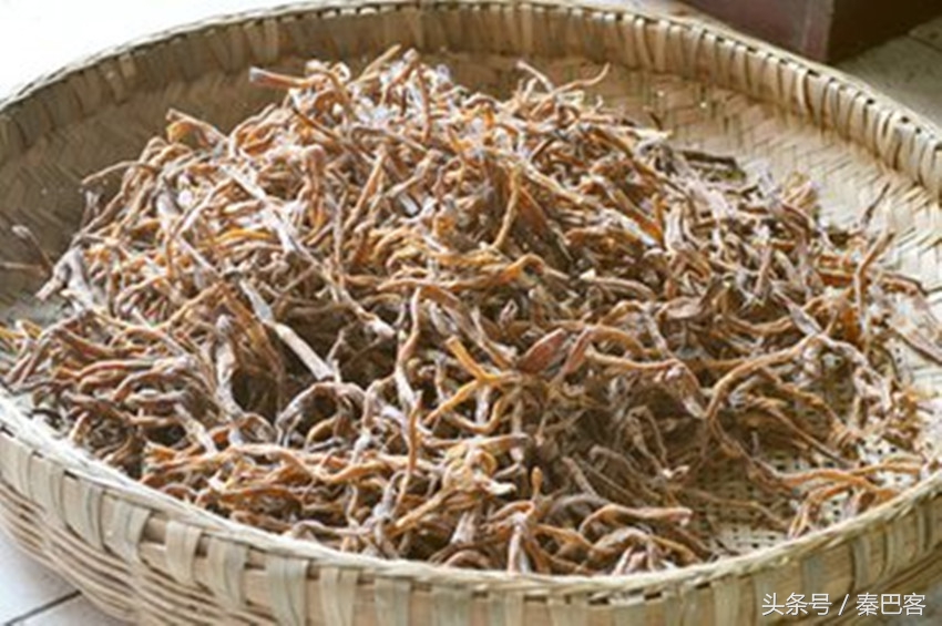 农村不值钱毛竹笋,城市人特别喜欢