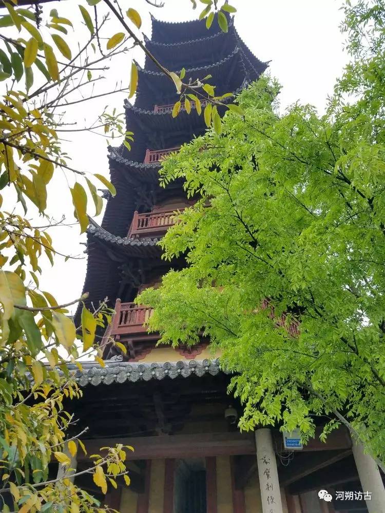 温州白象塔历史,温州白象塔出土