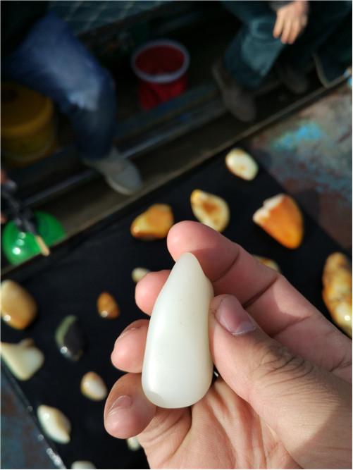 和田玉游记l看过纯羊毛鞋垫吗？喜洋洋美羊羊都有