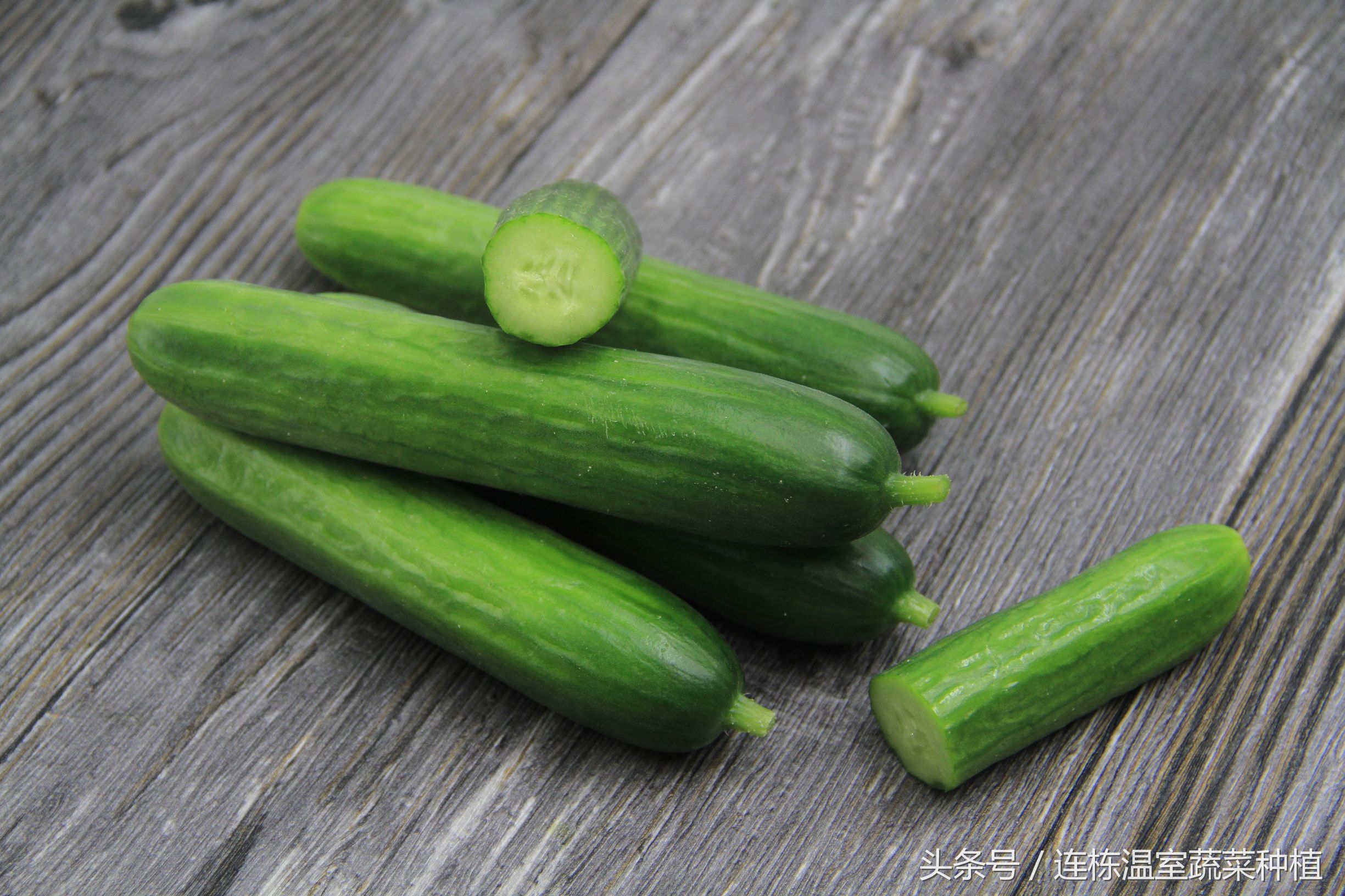 水培黄瓜成本,水培黄瓜的利润与成本