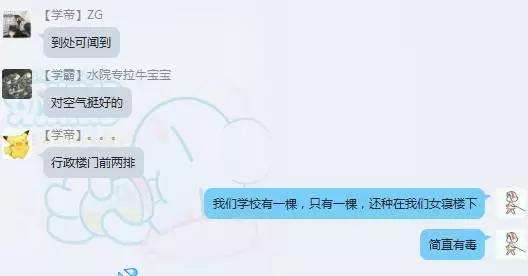 涓轰粈涔堝悇澶ч珮鏍￠兘绉嶇煶妤犺姳,澶у鍏充簬鐭虫鑺辩殑閲囪闂