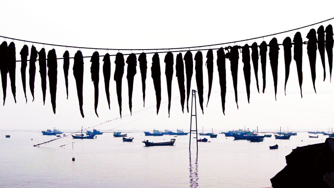 你和上帝的视角只差一台无人机!大连-旅顺