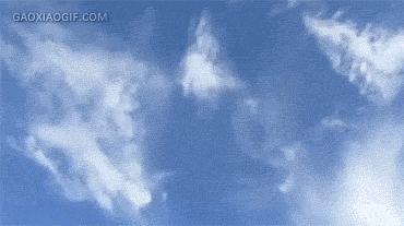 哥们，世界纪录倒没破，结果把自己给玩完了