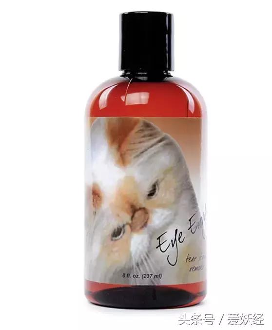 爱妖经｜赛场猫咪同款用品，主子们都拒绝不了的诱惑