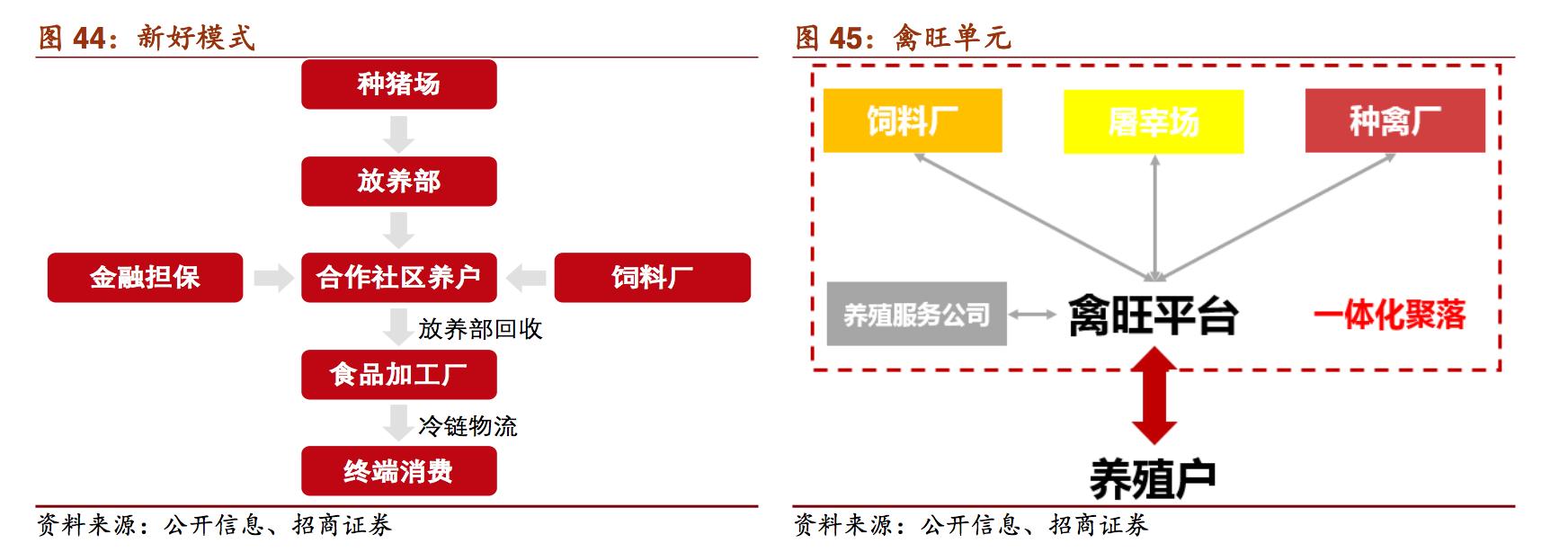 新希望饲料发展,新希望饲料深度分析