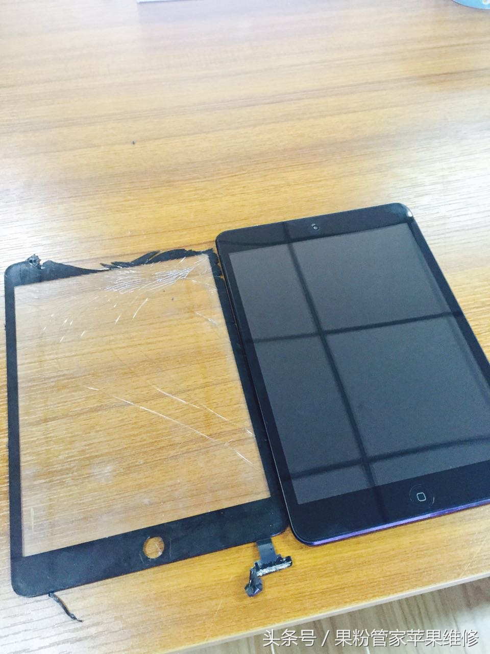 大连果粉管家,果粉管家清灰