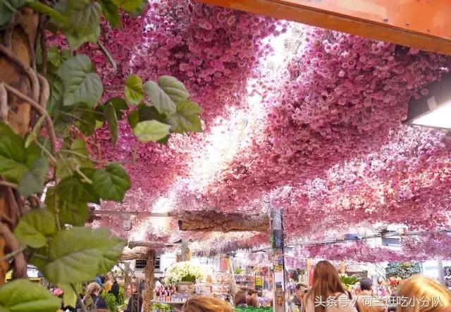 旅行必看|它是全球唯一的水上鲜花市场,买花逛吃两不误!