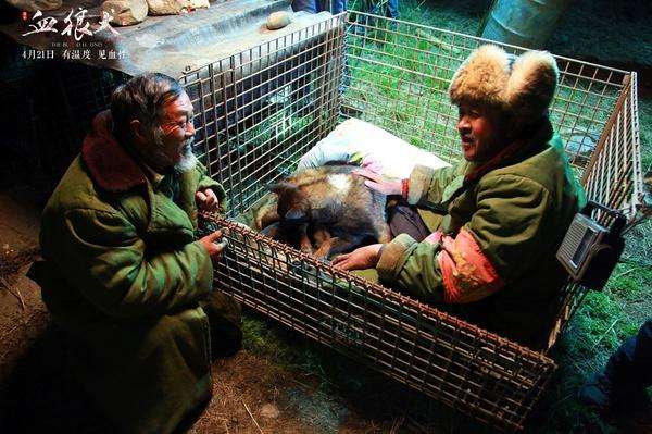 血狼犬的场景,血狼犬二通人性