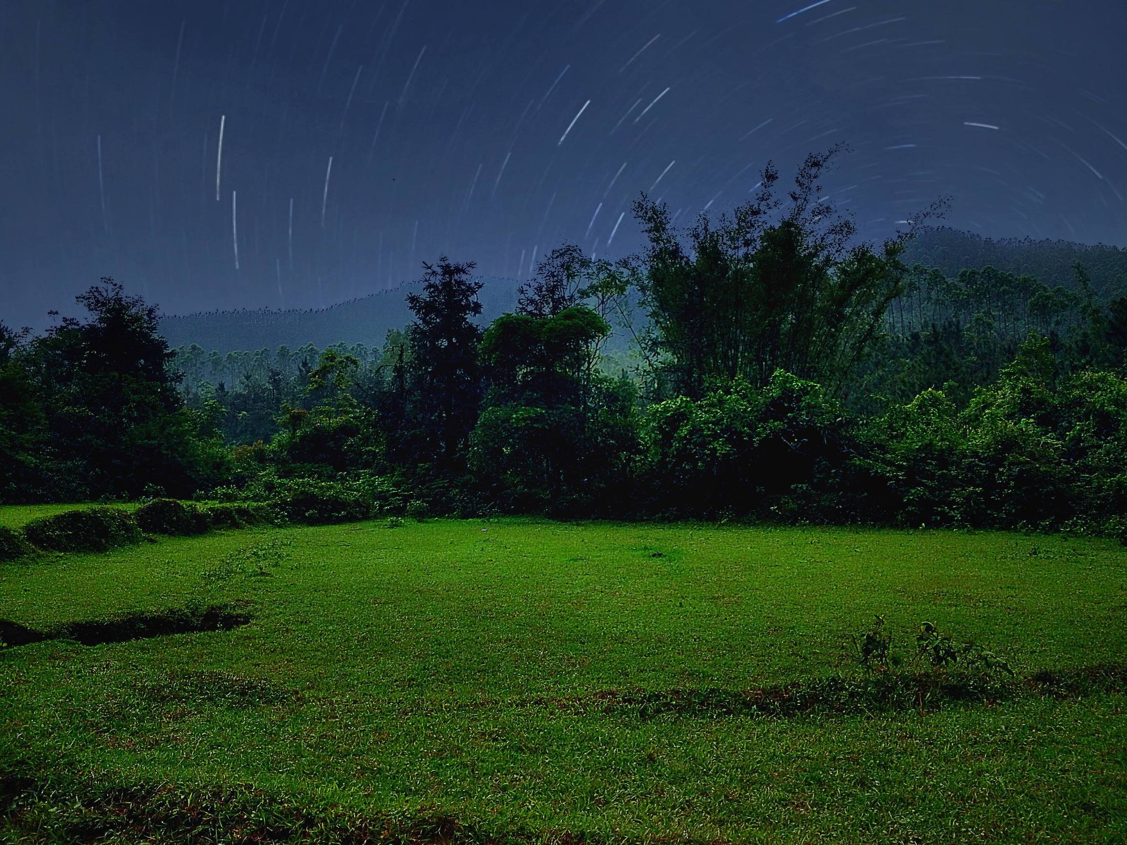 真实农村水稻,农村最好的水稻