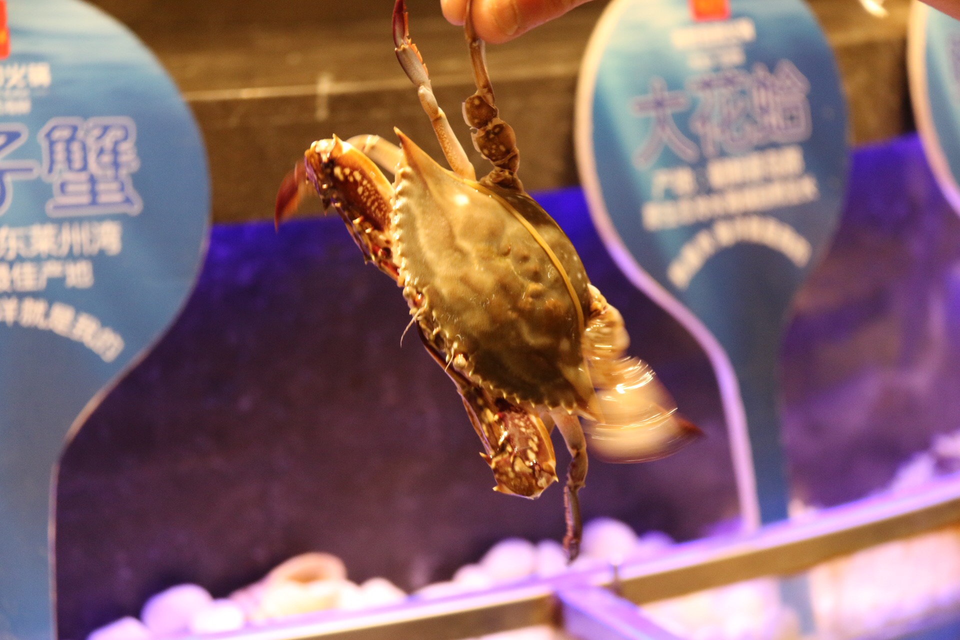 新鲜海洋海鲜,大海的味道不容错过冰鲜海鲜