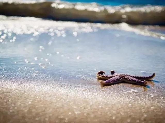 大连大长山岛旅游一日游,长兴岛旅游攻略大连