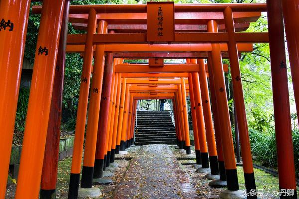 邮轮旅行的好处是什么,乘邮轮旅游的10大优点