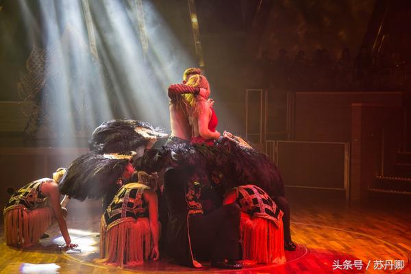 邮轮旅行的好处是什么,乘邮轮旅游的10大优点