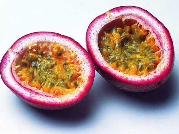 巴西果可以干什么,巴西奇果有哪些