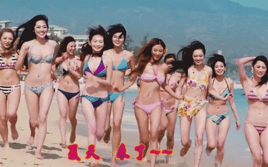 荷兰猪适宜的温度,荷兰猪夏天降温视频教学