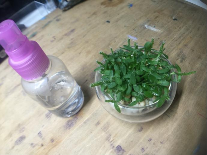 打造好看的个性化桌面,设计感满满的桌面