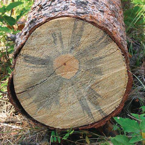 你买到的家具都是真的吗,买实木家具别被坑了