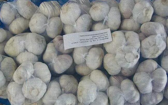 中国国际大蒜网邳州大蒜今日行情,世界大蒜看金乡