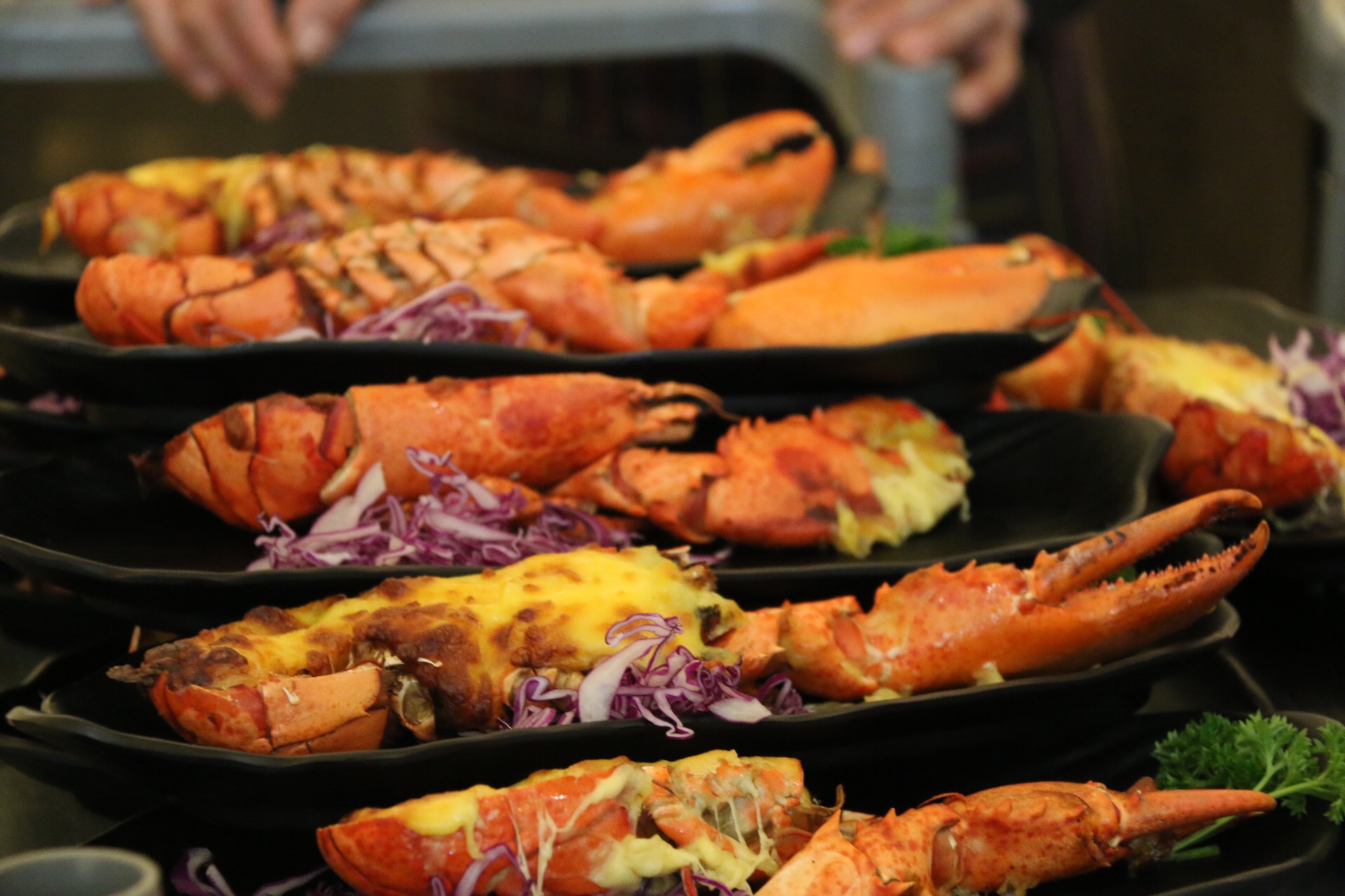 新鲜海洋海鲜,大海的味道不容错过冰鲜海鲜