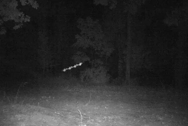 这个闯入过电视剧的UFO颠覆了人类的三观，但真相却简单得可笑