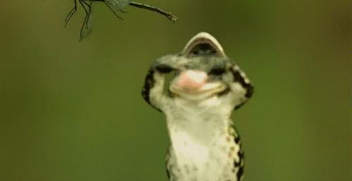 这个闯入过电视剧的UFO颠覆了人类的三观，但真相却简单得可笑