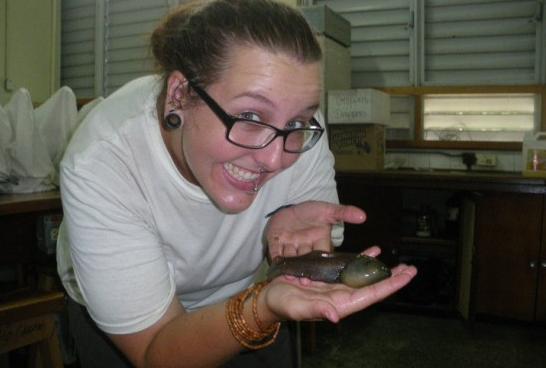 你知道蝌蚪是如何变成青蛙的吗,蝌蚪为什么要变成馒头蛙