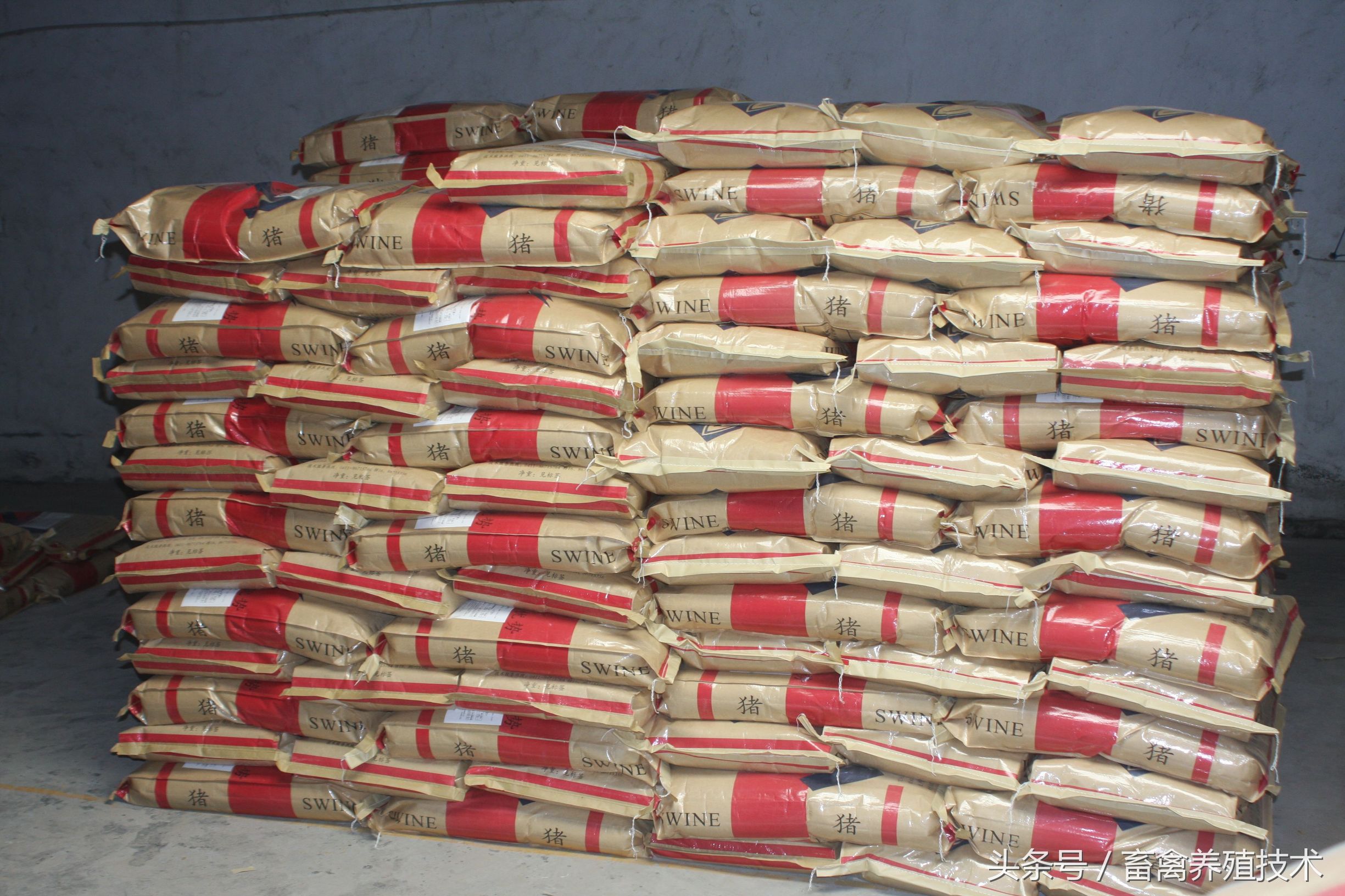 预混料和浓缩饲料有什么区别,预混料和浓缩饲料配比