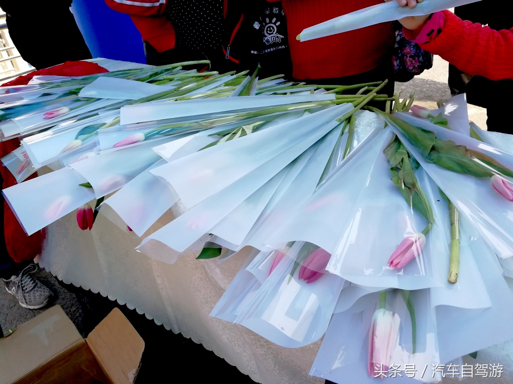 泾阳县城一日游,泾阳县一日游的绝佳去处