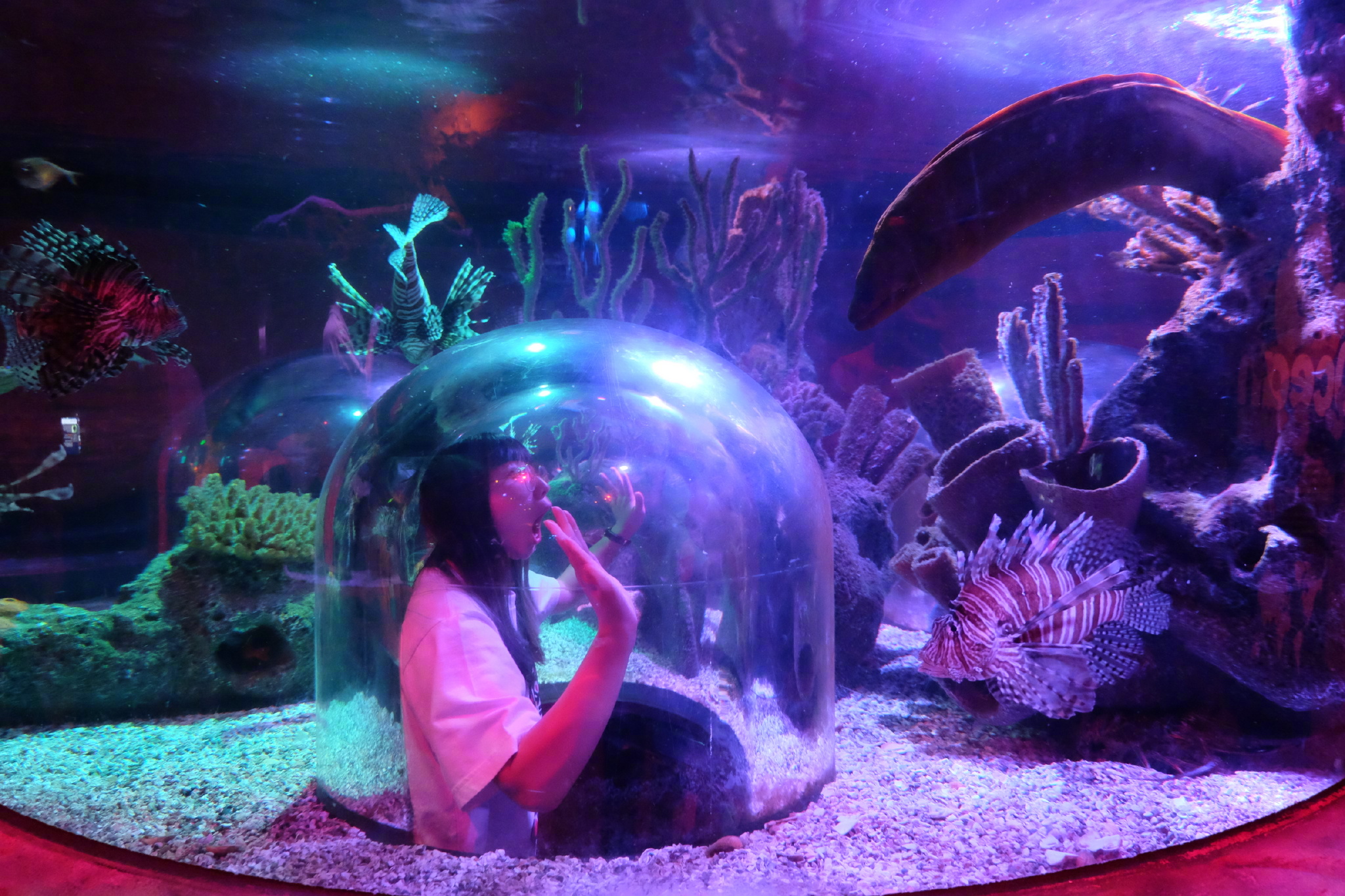 佛罗里达七日游攻略,佛罗里达5天旅游