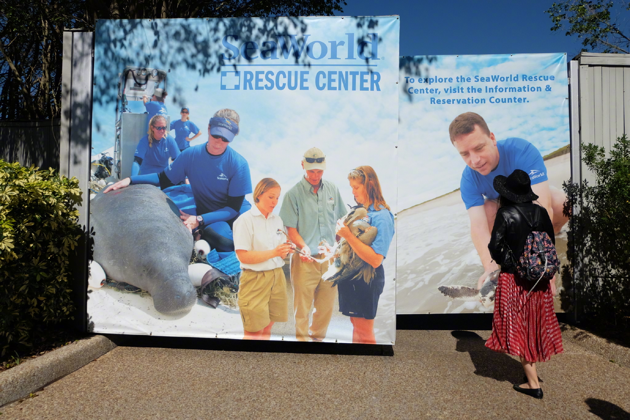 佛罗里达七日游攻略,佛罗里达5天旅游