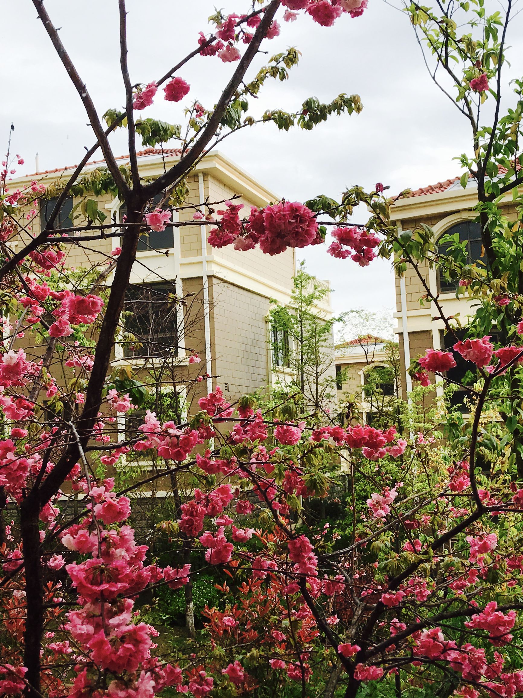 云南“和信行”三大房产标杆项目首次亮相蓉城