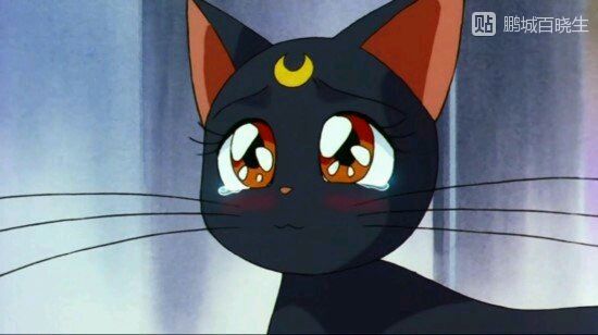 经典动画片国产80后,中国国产动画片排行榜