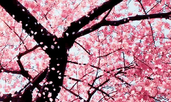 美容仪黑科技大全,美容养生仪器黑科技有用吗