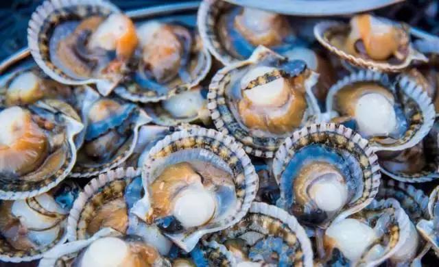 海上香格里拉旅游,汕尾金町湾海上香格里拉