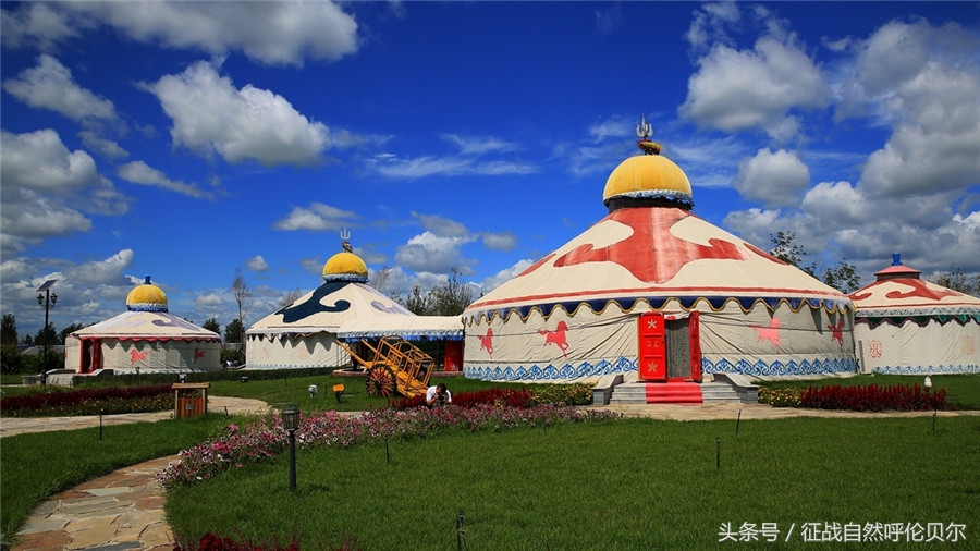 骑上草原的骏马跑一圈,骑上马马一直跟着马群怎么办