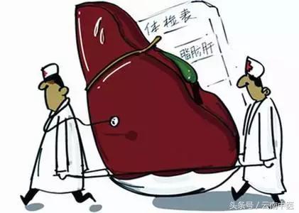 患上脂肪肝怎么办?先从这四点做起!