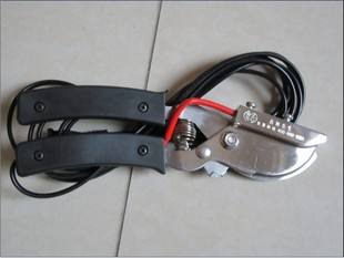 你给猪断尾的方法正确吗？这4种方法你应该了解！