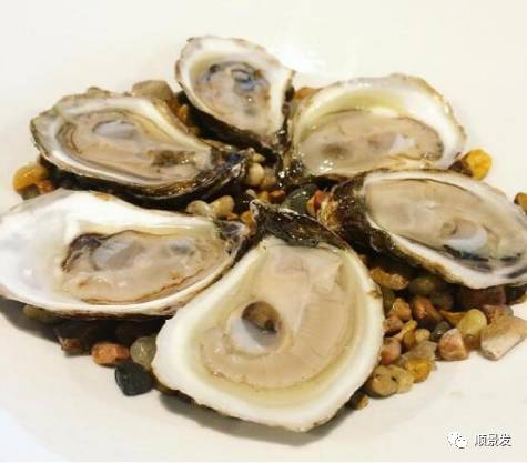 十种常见贝类海鲜图片,贝类海鲜全图