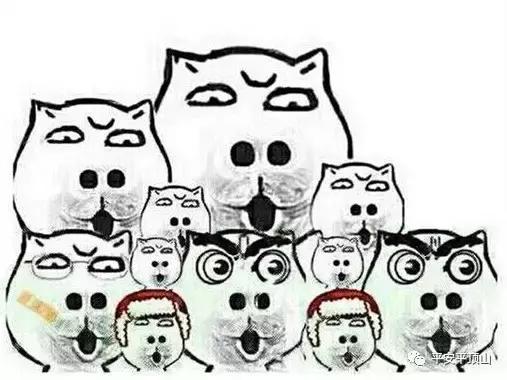 网恋美女竟是男儿身?平顶山警方破获系列网络诈骗案,81人被抓