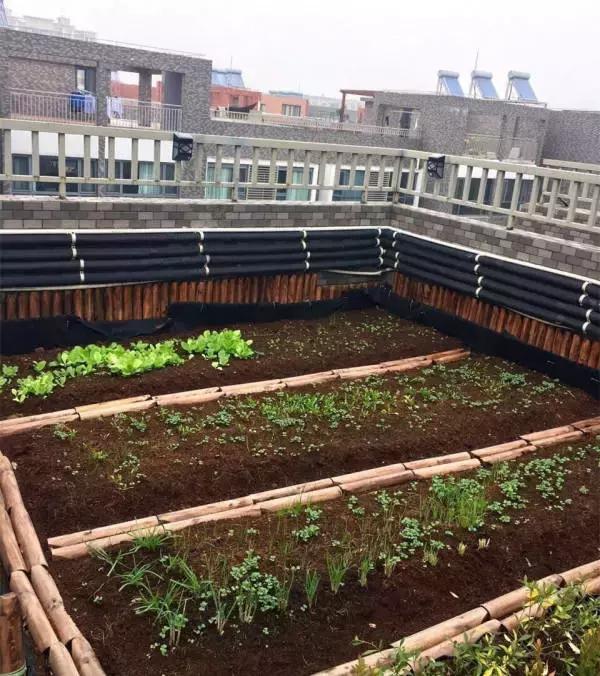 低成本自己改造屋顶花园,自己动手建房子花园