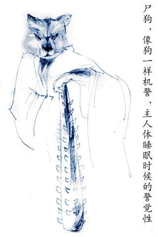 三魂七魄上下,三魂七魄下集完整版