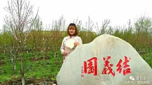 旅游:你知道西安城南的桃花岛、桃花庵在哪里吗?