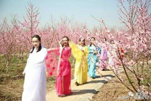 旅游:你知道西安城南的桃花岛、桃花庵在哪里吗?