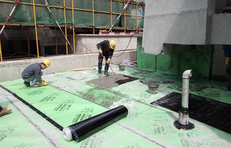 株洲金雨伞,株洲大匠风有哪些产品