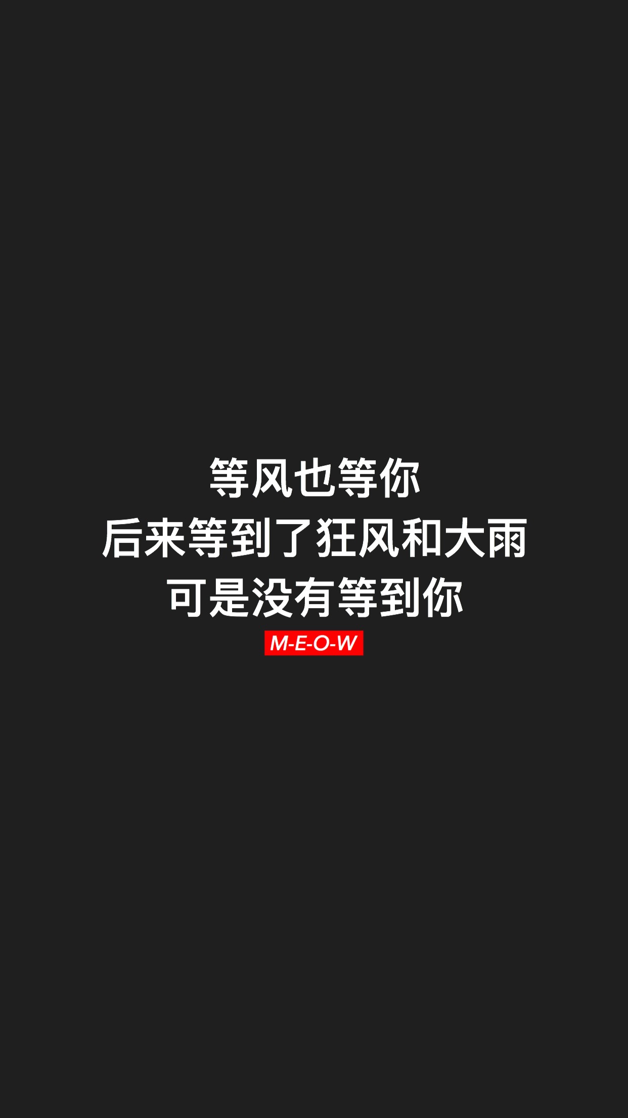壁纸文字控520爱情壁纸女生,壁纸文字控软件