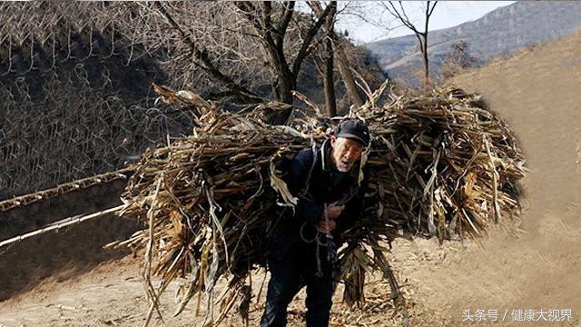 聋哑父亲24年胃炎生死折磨,这种美味“食材”,竟治好他的胃炎