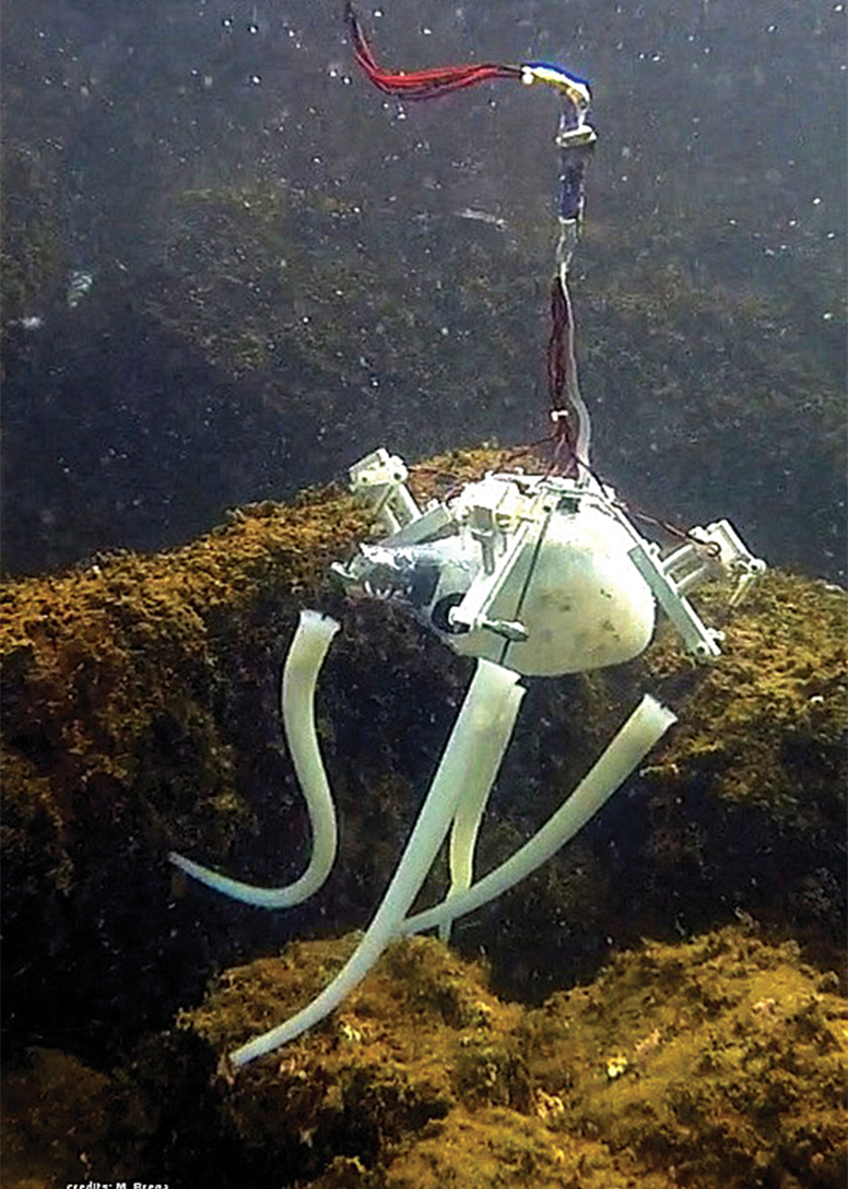 章鱼机器人机械臂,蒸汽章鱼机器人