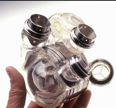 人终究会死亡到底是为了什么,人为什么终究会死去呢