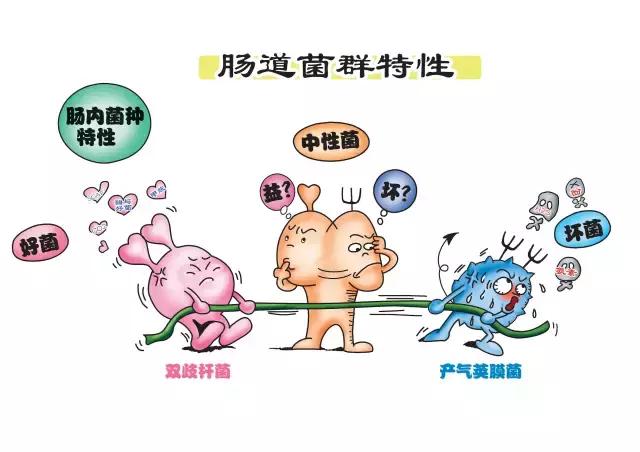 母乳喂养宝宝打屁特别臭,如何给宝宝喂母乳不胀气