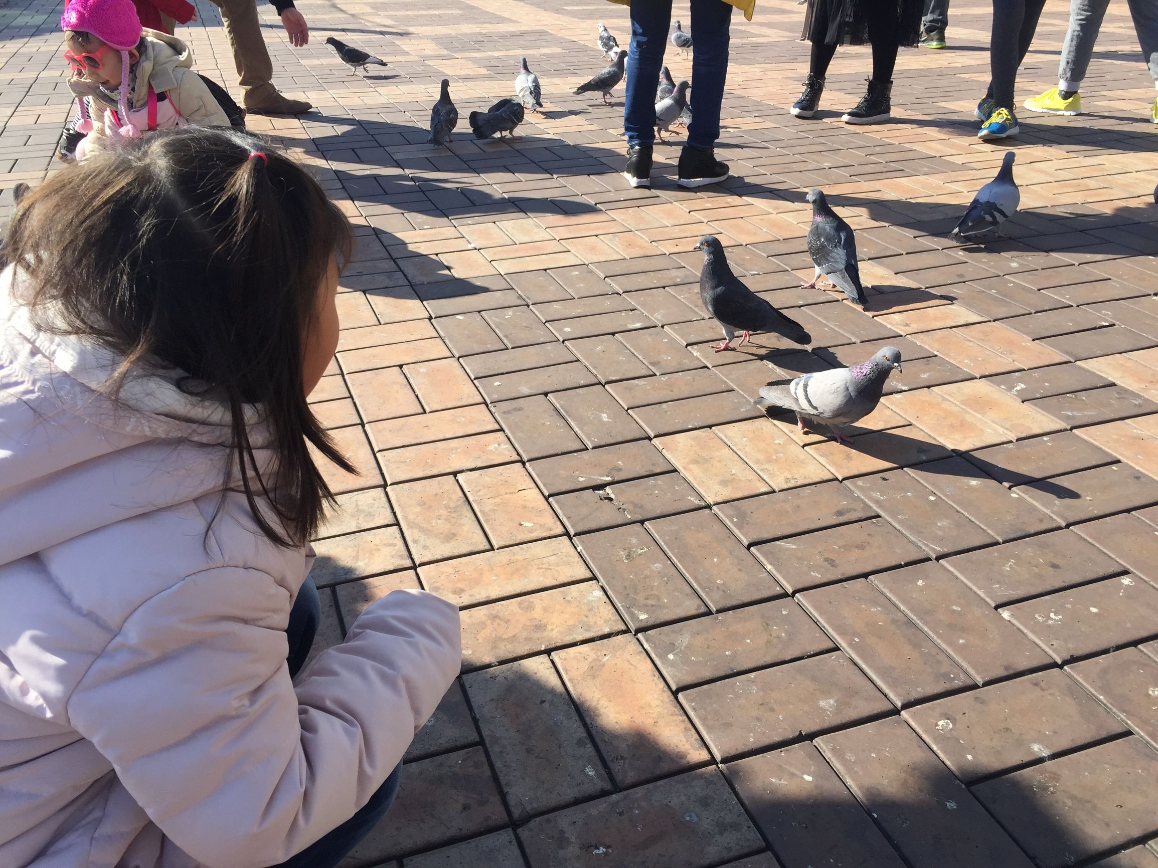 亲子游推介方案,苏州亲子游必去的10个建议